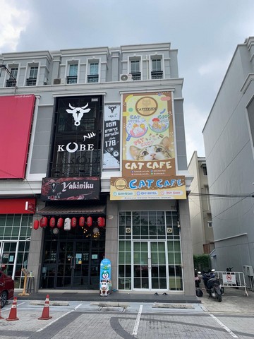 ����Ҥ�þҳԪ�� 4.5 ��� ���������� @BTS �ش��آ �Ҥ�������������� ��Ÿ�áԨ �������ش��آ ������Դ��Թԡ ���� ��ҹ����� ʻ� 