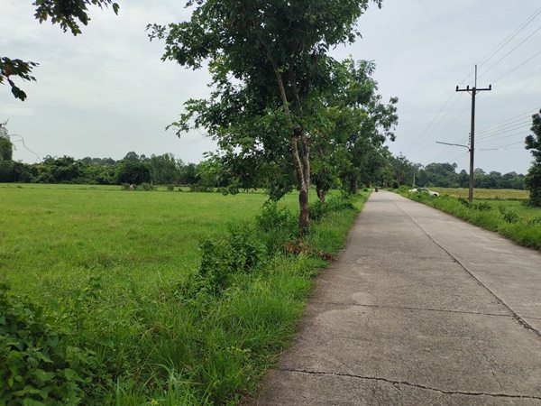 ขายที่ดิน 13ไร่ 63 ตรว. หมู่9 ต.ป่าขะ อ.บ้านนา จ.นครนายก โทร 089-7411750 เหมาะสำหรับสร้างที่อยู่อาศัย บ้านสวน บ้านจัดสรร ร้านค้า ขายที่ดิน 13ไร่ 63 ตรว. หมู่9 ต.ป่าขะ อ.บ้านนา จ.นครนายก โทร 089-7411750 เหมาะสำหรับสร้างที่อยู่อาศัย บ้านสวน บ้านจัดสรร ร้านค้า