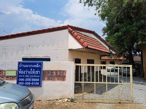 ��¡Ԩ�����ͧ���11��ͧ ���4.5�. ����Ⱥ��������ǡ���� 500 �. �.�ǡ���� �.��к���