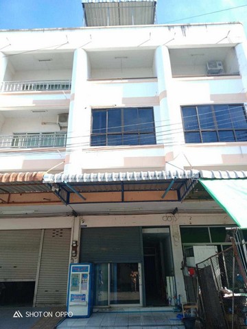 ��´�ǹ �Ҥ�þҹԪ�� ��������˾Ѳ�� �ӹǹ 4 ��鹤��� 