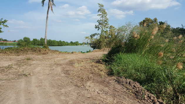 ��·��Թ ���Ŵ� �Դ����Ҵ�ҧ �������Ӻҧ�С� �.�ҧ�ç �.��ͧ���͹ �ѧ��Ѵ���ԧ��� (��Ңͧ����ͧ)