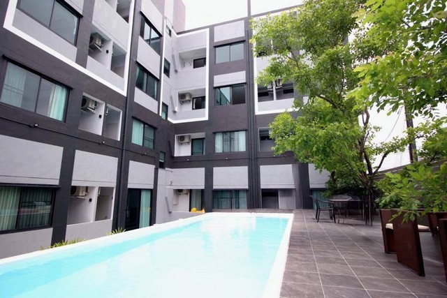 ����C5795  ������;�����鹷� 4��� �����������¹�� ���������˧ �����������������˧