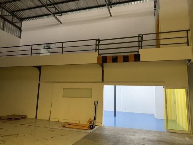 ������⡴ѧ������Ϳ��� 2 ��� ��Ҵ 446 ���. ��ҹ�Ҵ����� 101 �¸Թ�Ѳ�� ����͡������鹷ҧ