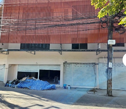 �������Ҥ�� 4 ���� �ҡ��¾���¸Թ 49 ��������Թ��� ��˹����ҹ