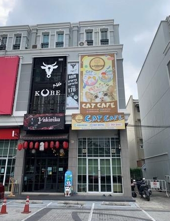 ขายอาคารโฮมออฟฟิศ 4.5 ชั้น โครงการ เดอะมาสเตอร์ BTS อุดมสุข บางนา ขายอาคารโฮมออฟฟิศ 4.5 ชั้น โครงการ เดอะมาสเตอร์ BTS อุดมสุข บางนา