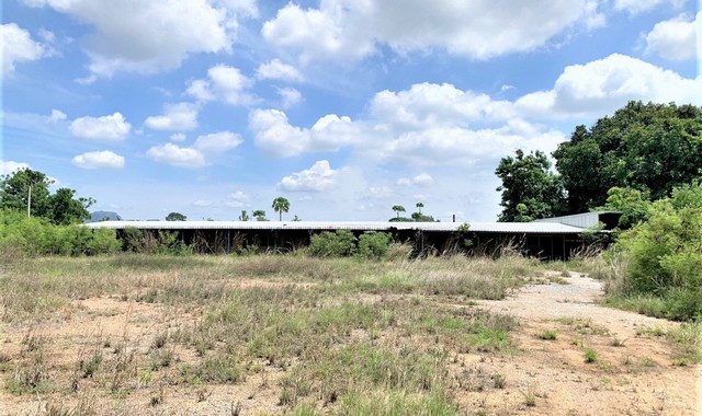 ����Ҥ�þҳԪ��  ���������������õ� ��к��� (PKK04-05427)