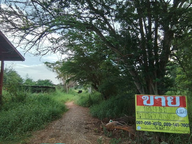 ��·��Թ���������ͧ 2-1-16 ��� �������ŧ �Թ�ҧ�дǡ �.���ͧ �.�ӻҧ  ZN574 