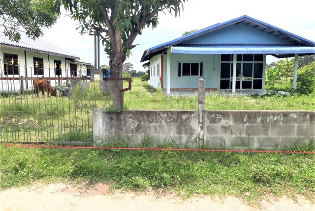 ��º�ҹ�����   ����;�Ѥ����Ծ����  �����ä�� (PKK02-15451)