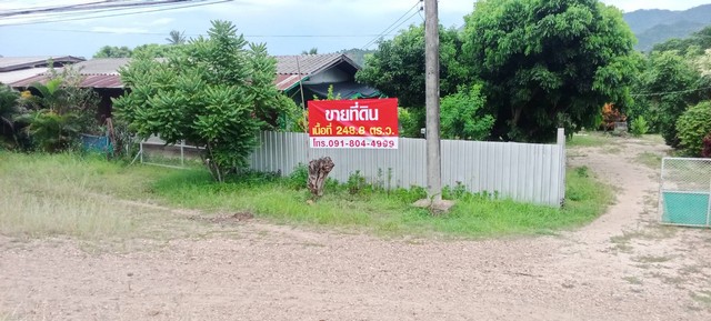 ขายที่ดินสวย บ้านอ่าย  ติดถนนโชตนา (ฝาง -เชียงใหม่) ต. ศรีดงเย็น อ.ไชยปราการ  จ.เชียงใหม่  ใกล้ฮิโนกิแลนด์ ขายที่ดินสวย บ้านอ่าย  ติดถนนโชตนา (ฝาง -เชียงใหม่) ต. ศรีดงเย็น อ.ไชยปราการ  จ.เชียงใหม่  ใกล้ฮิโนกิแลนด์
