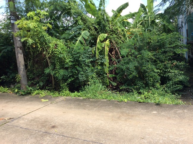 sss433 ��� ���Թ����  ྪ��֧�� ��л��ᴧ ��طû�ҡ�� 