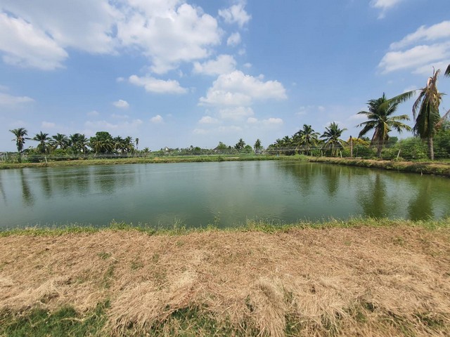 ��·��Թ�����������׹��� �ҡ��� 300 ���� �Ǿط�������� 8  ���ͷ�� 8-3-27.1 ��� ���Ŵ�  ���ʹ������ ��ɴҹ�� �Ե�����