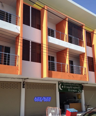 ��µ֡����������� ��еٹ�Ӣ͹�� �.�Ե��Ҿ �Ӻ����ͧ��� ��������ͧ�͹�� �ѧ��Ѵ�͹��