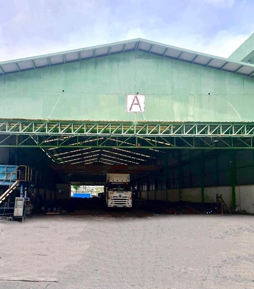 CH877-ST-RE �����Ҿ�鹷����ç�ҹ����⡴ѧ 1200- 3200 ���. �红ͧ�� �ç. 4 ��ҹ��������ԧ���� ��طû�ҡ��