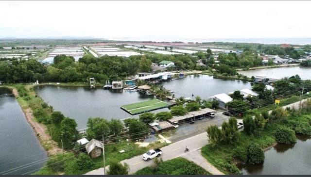 ��¡Ԩ��÷��ѡ�ѹ����� ������������ԧ�� ���ѡ�����Դ