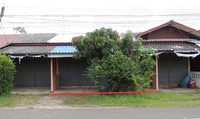 ����Ҥ�þҳԪ��    �����ʹ�  ���Թ��� (PKK04-05774)