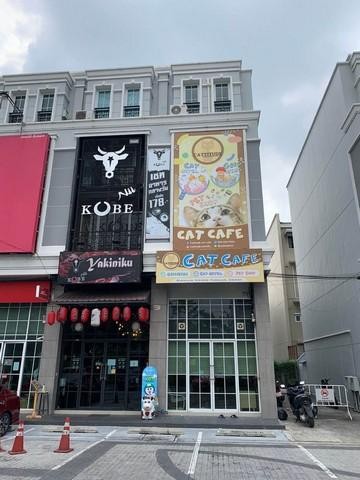 PB3441 ขายอาคารพาณิชย์ 4.5 ชั้น โครงการ เดอะมาสเตอร์ @ บีทีเอส อุดมสุข ตึกหันหน้าทิศเหนือ ใกล้BTS อุดมสุข PB3441 ขายอาคารพาณิชย์ 4.5 ชั้น โครงการ เดอะมาสเตอร์ @ บีทีเอส อุดมสุข ตึกหันหน้าทิศเหนือ ใกล้BTS อุดมสุข