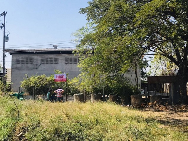 ��´�ǹ� ���Թ�����⡴ѧ ��Ҵ 250 ���ҧ�� �Դ���ྪ���� �.�͹������ͧ �.��ҹ�� �.�Ҫ����