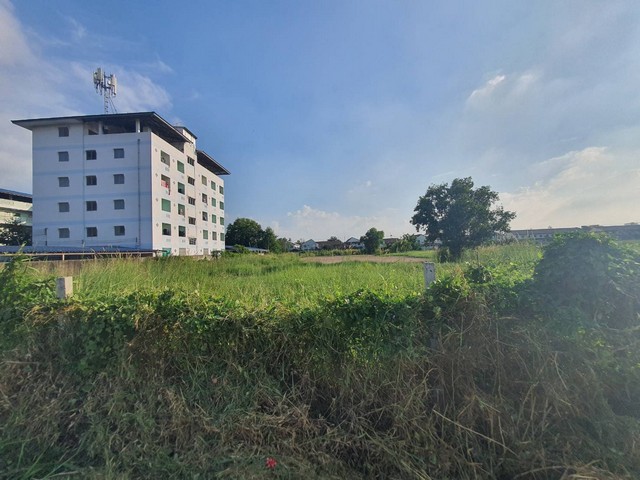 ขายที่ดินสี่เหลี่ยมผืนผ้าถมแล้ว อยู่ห่างจากถนนพหลโยธินเพียง 600 เมตร ซอยเทพกุญชร 22 เนื้อที่ 3 ไร่ ทำเลดี แหล่งชุมชน ติดถนนใหญ่ ใกล้ตลาดไท ขายที่ดินสี่เหลี่ยมผืนผ้าถมแล้ว อยู่ห่างจากถนนพหลโยธินเพียง 600 เมตร ซอยเทพกุญชร 22 เนื้อที่ 3 ไร่ ทำเลดี แหล่งชุมชน ติดถนนใหญ่ ใกล้ตลาดไท