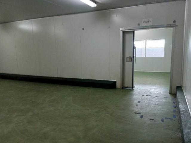 ������⡴ѧ��ͧ��� ��鹷������� 1,800 ���. ��� 2,700 ���. ����ѭ����-�ѧ���� �ӺŤ�ͧ�� ����ͤ�ͧ��ǧ �����ҹ� 