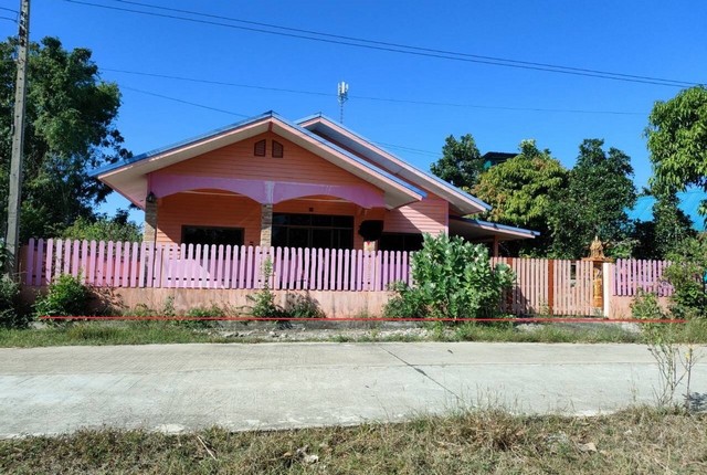 ��º�ҹ�����   ����͸�Ѫ����  ������� (PKK02-13141)