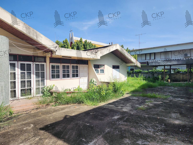 ��� ���Թ�������觻�١���ҧ ��Ҵ 239.8 ��.�� ��鹷����ҧ��ҧ ��ҧ���ͧ��û��