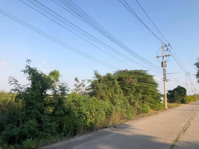 ที่ดินสวยขายรับลมหนาวติดถนนทางหลวงคอนกรีตน้ำไฟเข้าถึงคมนาคมสะดวกสบาย เหมะปลูกบ้านทำการเกษตรดินดีวิวสวย บ่อเงินปุทม ใกล้แหล่งน้ำเหมาะทำเกษตร ใกล้ชุมชน 5ไร่ อำเภอลาดหลุมแก้ว ปทุมธานี ลาดหลุมแก้วไร่ละ ที่ดินสวยขายรับลมหนาวติดถนนทางหลวงคอนกรีตน้ำไฟเข้าถึงคมนาคมสะดวกสบาย เหมะปลูกบ้านทำการเกษตรดินดีวิวสวย บ่อเงินปุทม ใกล้แหล่งน้ำเหมาะทำเกษตร ใกล้ชุมชน 5ไร่ อำเภอลาดหลุมแก้ว ปทุมธานี ลาดหลุมแก้วไร่ละ