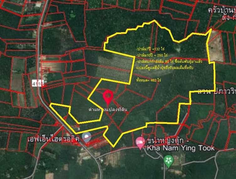 ขายที่ดิน อ.พระเเสง จ. สุราษฏร์ธานี 462ไร่ละ3.7แสน T0918605330 ขายที่ดิน อ.พระเเสง จ. สุราษฏร์ธานี 462ไร่ละ3.7แสน T0918605330