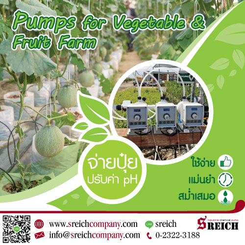 ปั๊มสูบส่งสารสเปรย์ออกหัวจ่าย ปั๊มจ่ายสารละลายเพื่อการฉีดพ่น ปั๊มสูบส่งสารสเปรย์ออกหัวจ่าย ปั๊มจ่ายสารละลายเพื่อการฉีดพ่น
