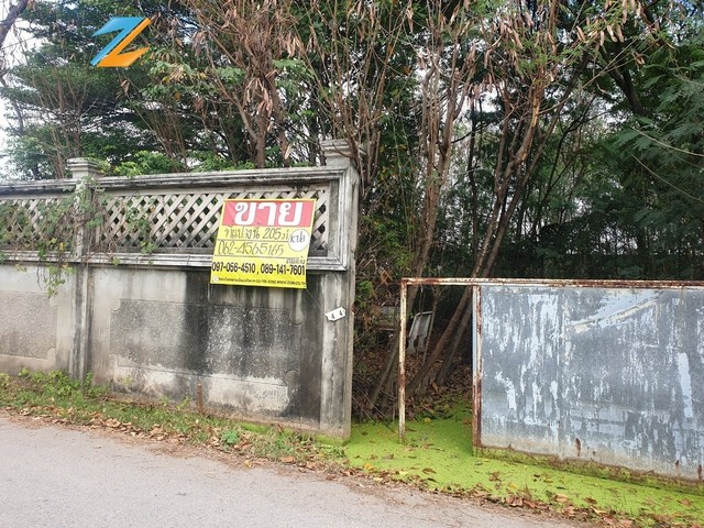 ขายที่ดินสี่เหลี่ยมผืนผ้าถมแล้ว 205 ตร.วา ซอยหลวงปู่ตรง ถ.สุภาพบุรุษ เลียบคลองทวีวัฒนา กรุงเทพฯ ขายที่ดินสี่เหลี่ยมผืนผ้าถมแล้ว 205 ตร.วา ซอยหลวงปู่ตรง ถ.สุภาพบุรุษ เลียบคลองทวีวัฒนา กรุงเทพฯ