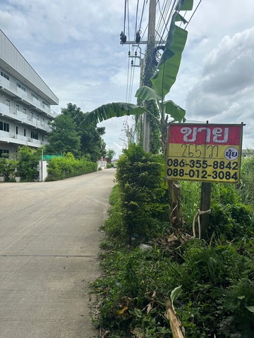 ขายที่ดิน ซอยจตุโชติ 6 สุขาภิบาล 5 เนื้อที่ 265 ตารางวา แขวงออเงิน เขตสายไหม กรุงเทพมหานคร ZT270 ขายที่ดิน ซอยจตุโชติ 6 สุขาภิบาล 5 เนื้อที่ 265 ตารางวา แขวงออเงิน เขตสายไหม กรุงเทพมหานคร ZT270