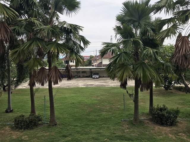 ��¤���ʹ���� 3 ��� �����Թ 4-2-56 ��� 㹵�����ͧ��û��