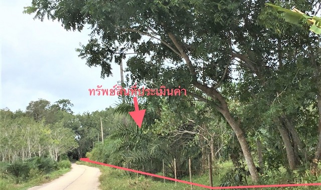 ��·��Թ��ҧ������� �ŵ��​ ��ͧ�ҧ ����ͷ��ʧ �ѧ��Ѵ�����ո����Ҫ PKK01-11457