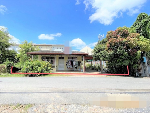 ขายบ้านเดี่ยว อำเภอเมืองภูเก็ต ภูเก็ต (PKK02-14511) ขายบ้านเดี่ยว อำเภอเมืองภูเก็ต ภูเก็ต (PKK02-14511)