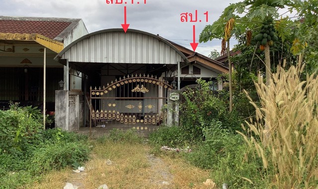 ��º�ҹ�������� �ç��Һ�źҧ�ѹ ����ͺҧ�ѹ �ѧ��Ѵ�����ո����Ҫ PKK02-14059