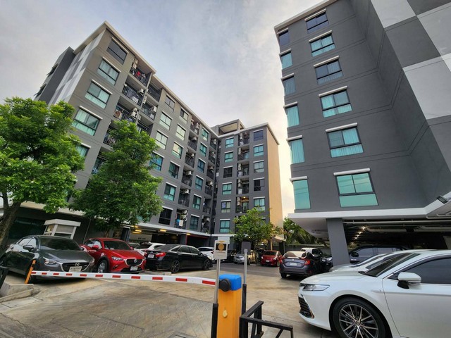 ��¤͹����ʺ�´դ͹�  �Ҵ����� 126  ��Ҵ 21.46 ���.  ���ʶҹ�ö俿�����������ͧ   ZB042