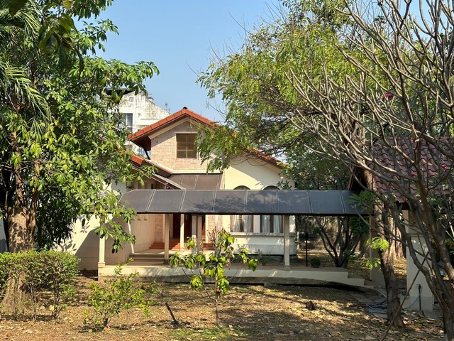 ขายบ้านเดี่ยว 1 ชั้น ปุณณวิถี 40 : 192 ตร.ว. 235 ตร.ม. 2 ห้องนอน 2 ห้องน้ำ ขายบ้านเดี่ยว 1 ชั้น ปุณณวิถี 40 : 192 ตร.ว. 235 ตร.ม. 2 ห้องนอน 2 ห้องน้ำ