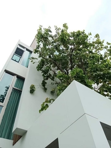 WW245H ���  #��ҹ����� �����ҹ����� ������9 �����ا෾��ձ�  #������乹������9 #��ҹ��ا෾��ձ� #����������9 #vive_rama9