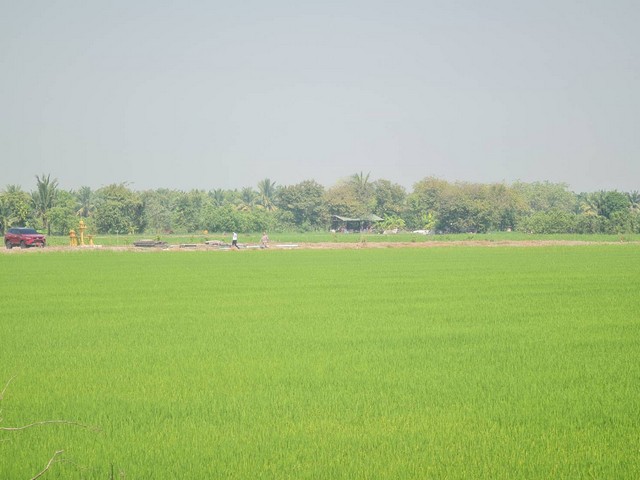 ��Ѿ���Ѻ���ɨչ�Χ������ʹ�  ��� �Ҵ�������  ���Ҥ��дǡʺ�� ���л�١��ҹ�ӡ���ɵôԹ�������� ����Թ�ط� ������觹������з��ɵ�  ������� 5���  ������Ҵ������� �����ҹ� �Ҵ������������ 1ź. �