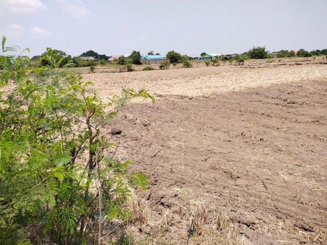 ��·��Թ���� 19 ��� �ŧ��� �Ӻ������� ����ͺ�ҹ⾸�� �ѧ��Ѵ���ԧ���