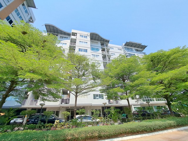 ��¤͹��ç��� ��� �ի�� ��չ��Թ��� ���ͧ ��طû�ҡ��