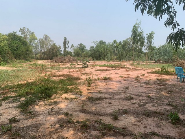 ��·��Թ���Ҷ����� ��Ҵ��鹷�� 3 - 2 � 97.1 ���