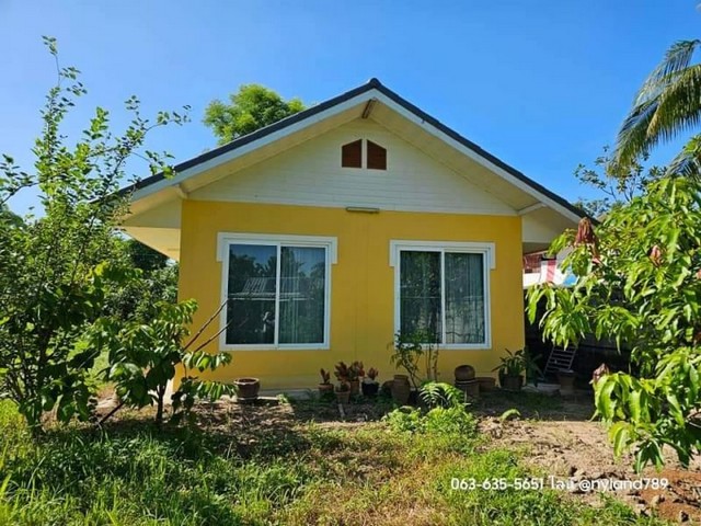 ����� Ŵ�Ҥ�ŧ��� 3 ��ҹ��� ��ҹ�������ӹ�ù�¡ �.��Ҫ�ҧ �.��