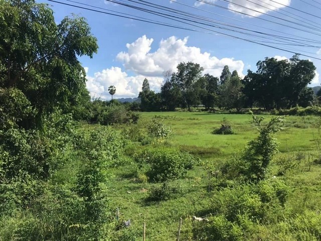 ขายที่ดิน 35 ไร่ ใกล้มอเตอร์เวย์ ติดถนนใหญ่ เดินทางสะดวก เหมาะทำโ ขายที่ดิน 35 ไร่ ใกล้มอเตอร์เวย์ ติดถนนใหญ่ เดินทางสะดวก เหมาะทำโ