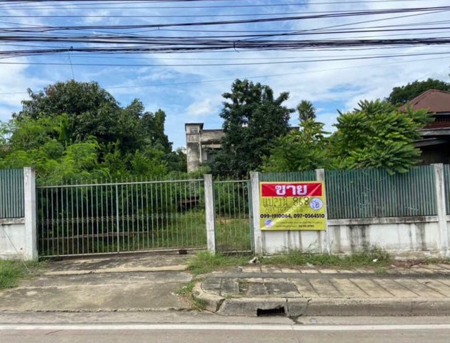 ขายที่ดินถมแล้วทำเลดีใกล้แม่น้ำลพบุรี เนื้อที่ 86.8 ตรว. ขายที่ดินถมแล้วทำเลดีใกล้แม่น้ำลพบุรี เนื้อที่ 86.8 ตรว.