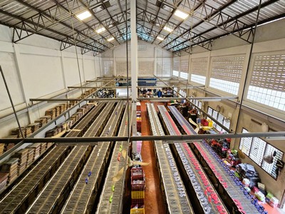 �Ҥ���ç�ҹ 1 ��鹤��� ��������ʹö 246.9 ��.�. ����Ҫ�ġ�� 