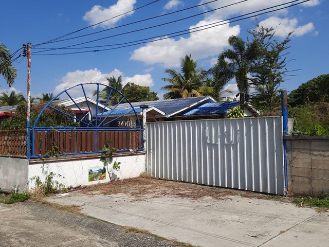 ��� ���Թ�������觻�١���ҧ �.�ѹ���آ �.�ҹ �.��§���