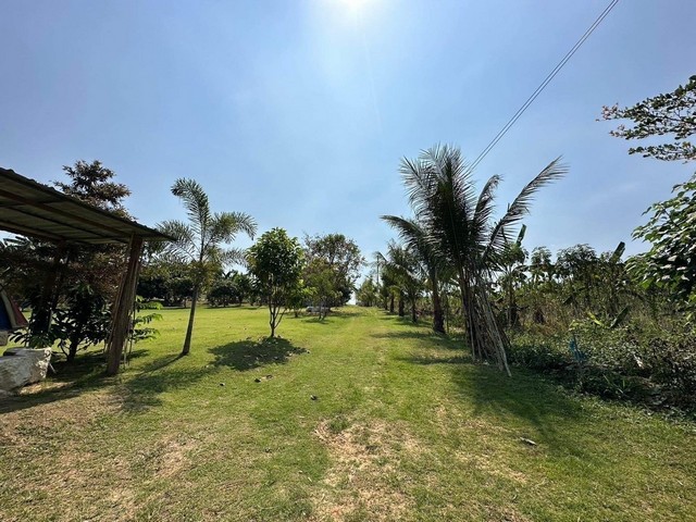 ขายที่ดินติดแม่น้ำ ติดแม่น้ำแคว เหมาะสำหรับทำ จังหวัดกาญจนบุรี ขายที่ดินติดแม่น้ำ ติดแม่น้ำแคว เหมาะสำหรับทำ จังหวัดกาญจนบุรี