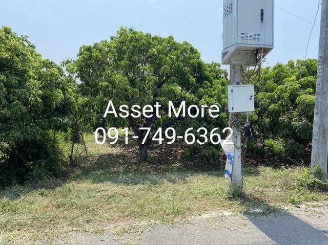 ��¶١ ���¡�ŧ �ǹ���� ���ͷ�� 2 �ҹ 20 ���ҧ��  �Ӿٹ 