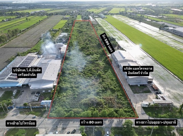 ผังม่วงราคาถูกที่สุดในไทรน้อย ผังม่วงราคาถูกที่สุดในไทรน้อย