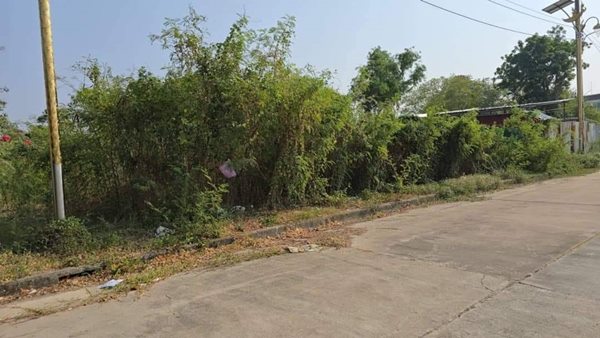 ขายที่ดิน แปลงสวย 185ตรว. หมู่บ้าน กรีน เลค บางนา-ตราด ราคาดี อ.บางพลี จ.สมุทรปราการ โทร 063-241-9775 ขายที่ดิน แปลงสวย 185ตรว. หมู่บ้าน กรีน เลค บางนา-ตราด ราคาดี อ.บางพลี จ.สมุทรปราการ โทร 063-241-9775